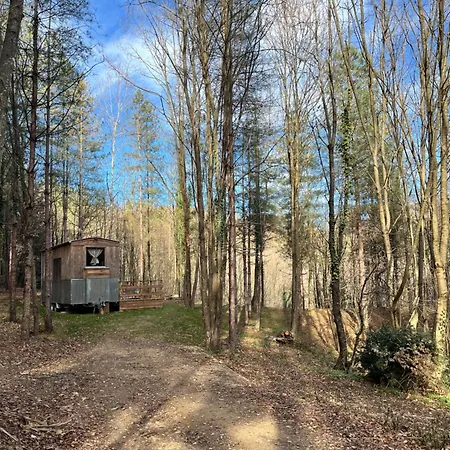 Campismo de Luxo Tiny House