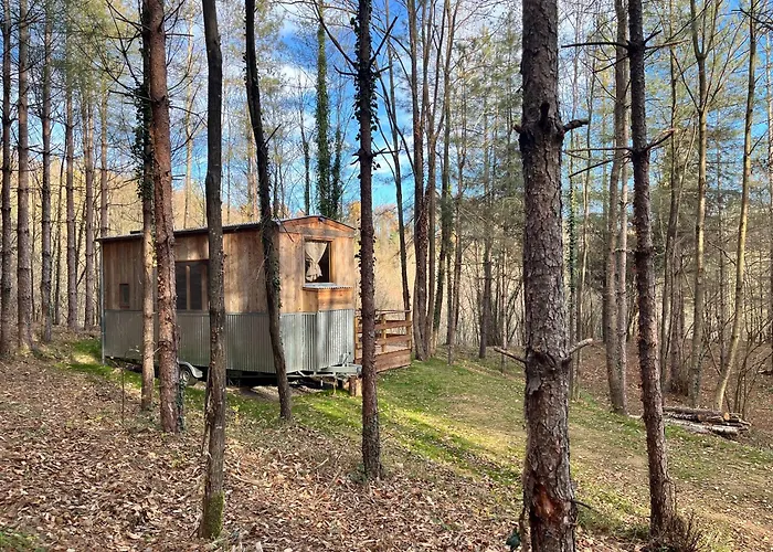 אוהל מפואר Tiny House Saint-Laurent-de-Cerdans
