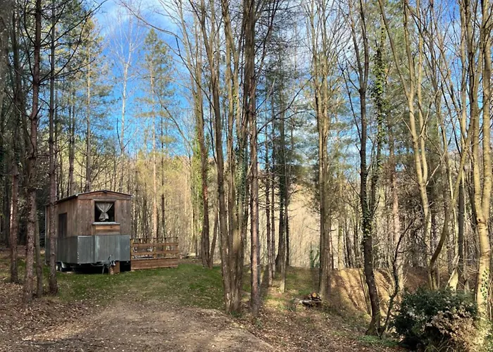 Campo de lujo Tiny House